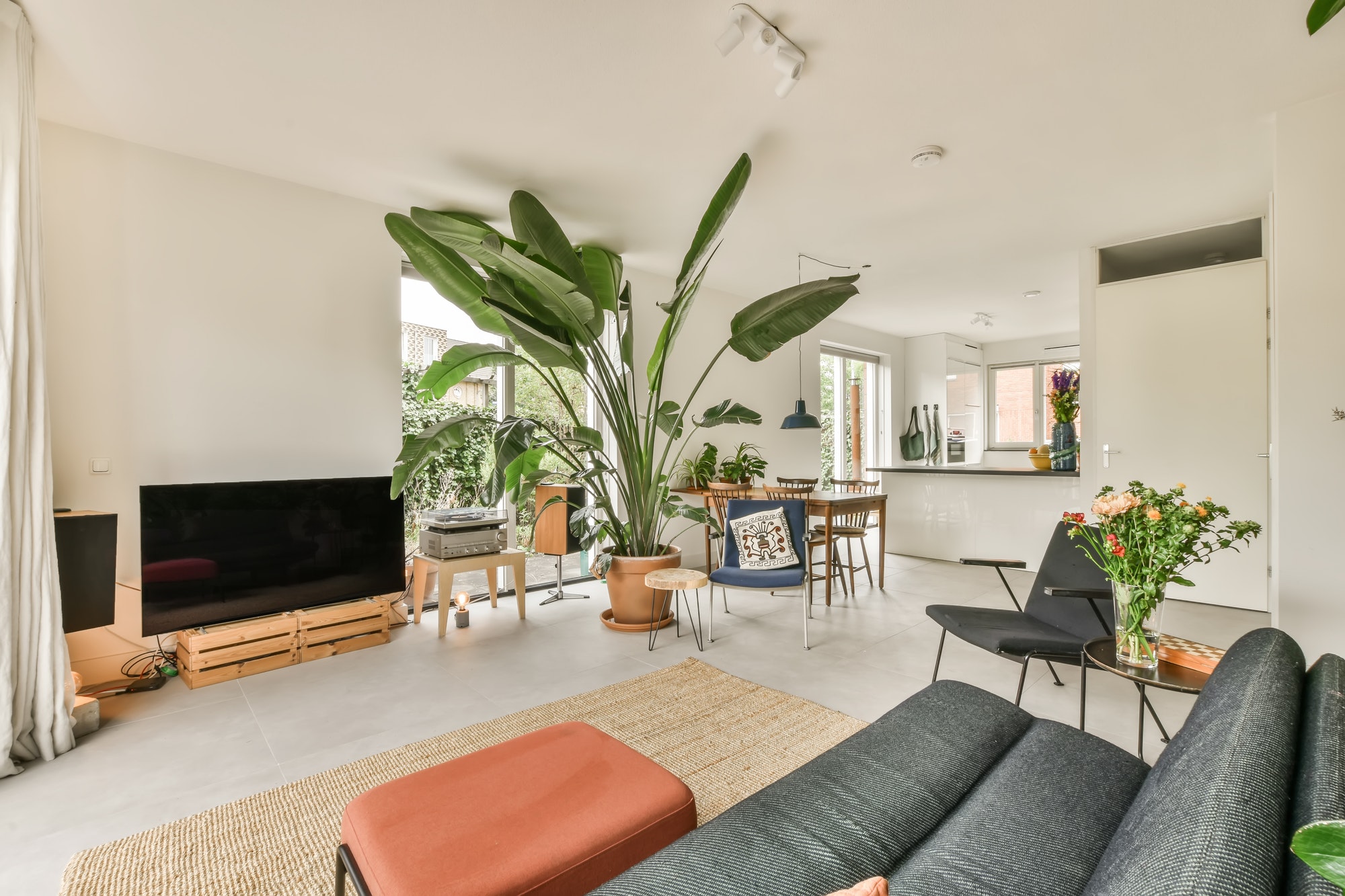 a living room with a couch and a large plant