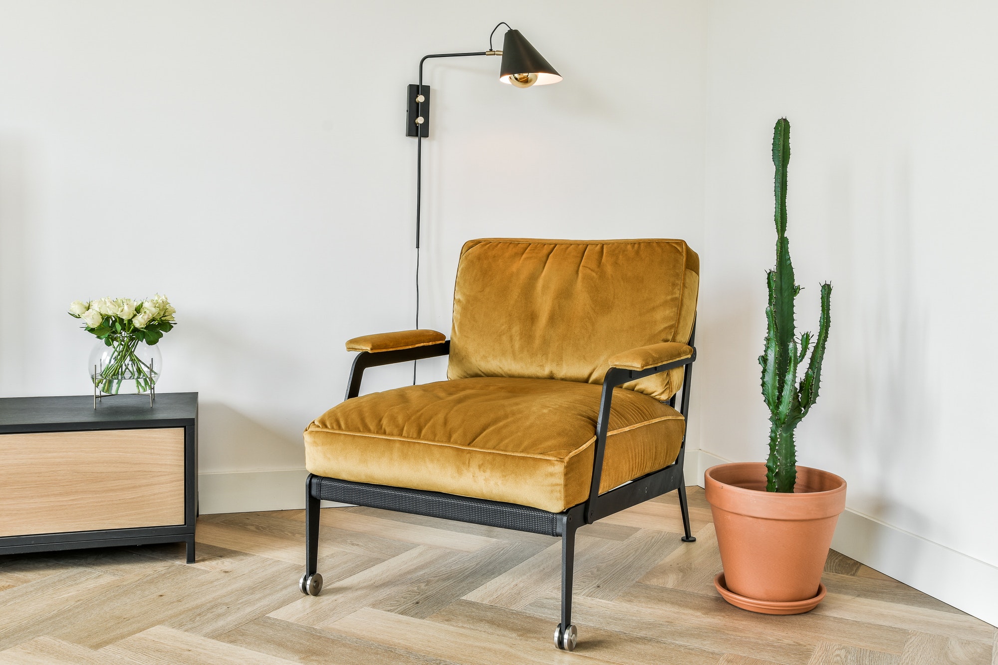 Armchair, lamp, and cactus in a room