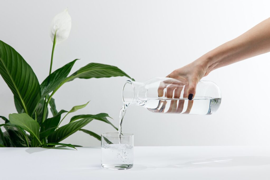 cropped view of woman pouring water from bottle in glass near green peace lily plant on white