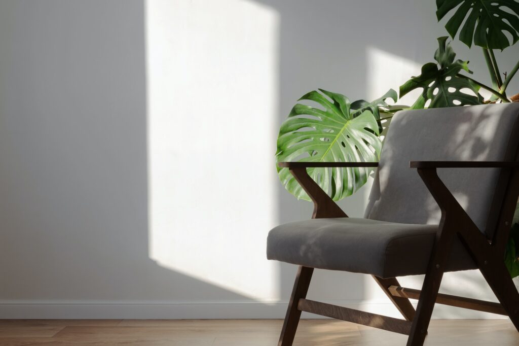 Home plant monstera and grey chair, on background white wall. Minimalistic scandinavian interior