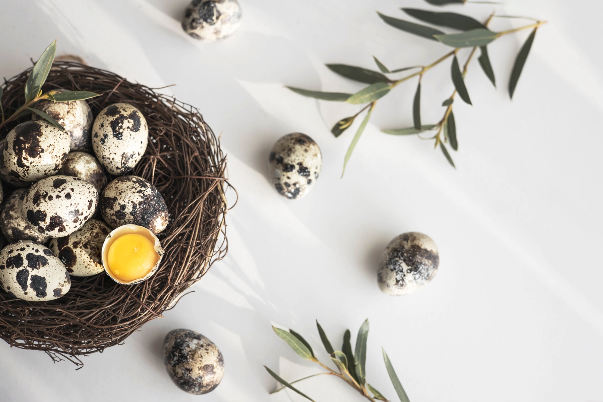 Quail eggs in bird nest on white background with shadow. Happy easter. Rustic style. Flat lay