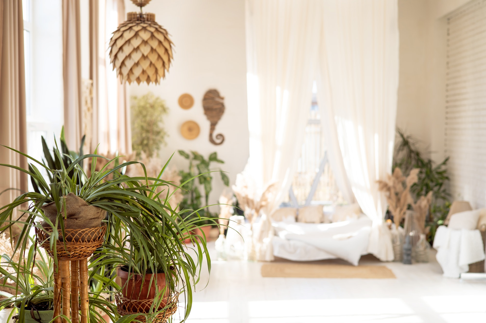 Stylish room interior with different house plants